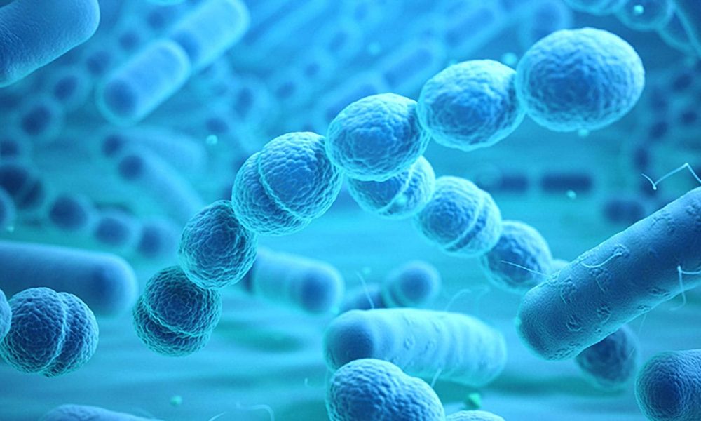 Microbial Control Market Hits New High | Major Giants Troy Corporation ...