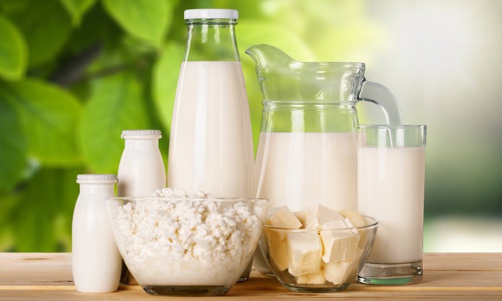 Milk Protein Market