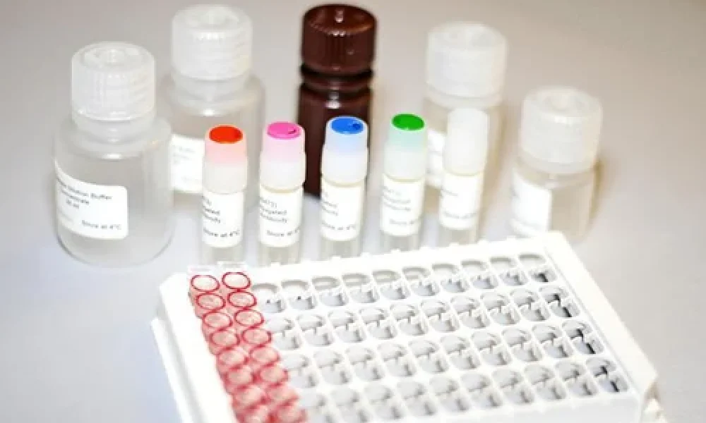 Molecular Biology Test Kits