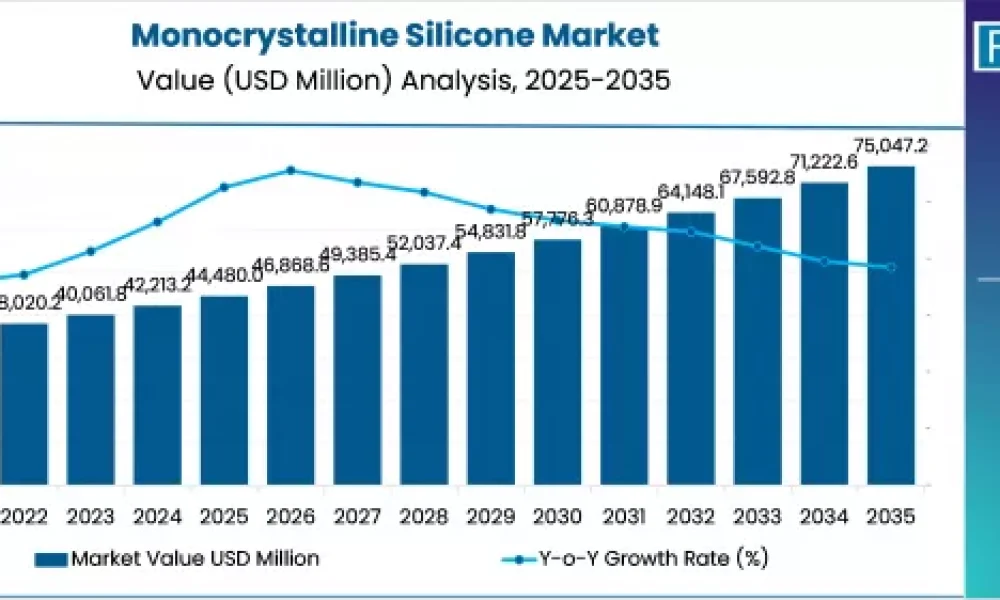 Monocrystalline Silicone Market