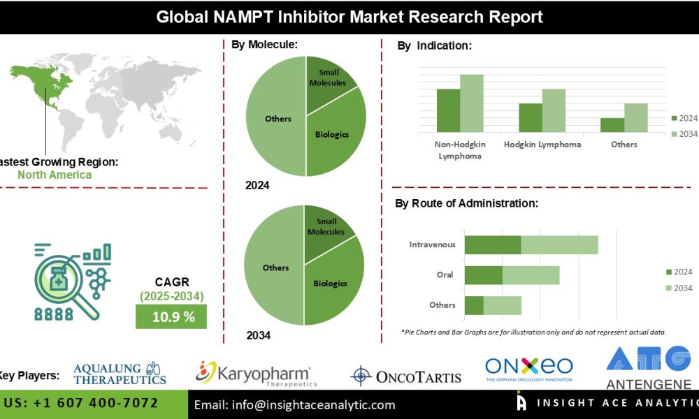 NAMPT Inhibitor Market