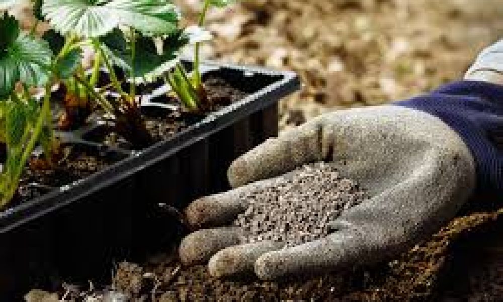NPK Fertilizer Market