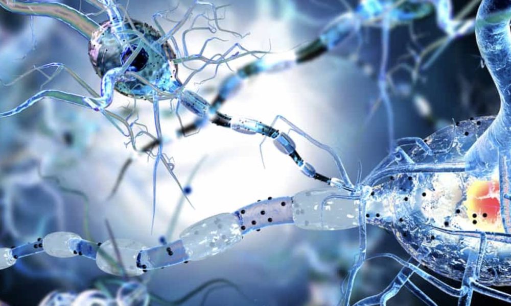 Nanobiotechnology Market