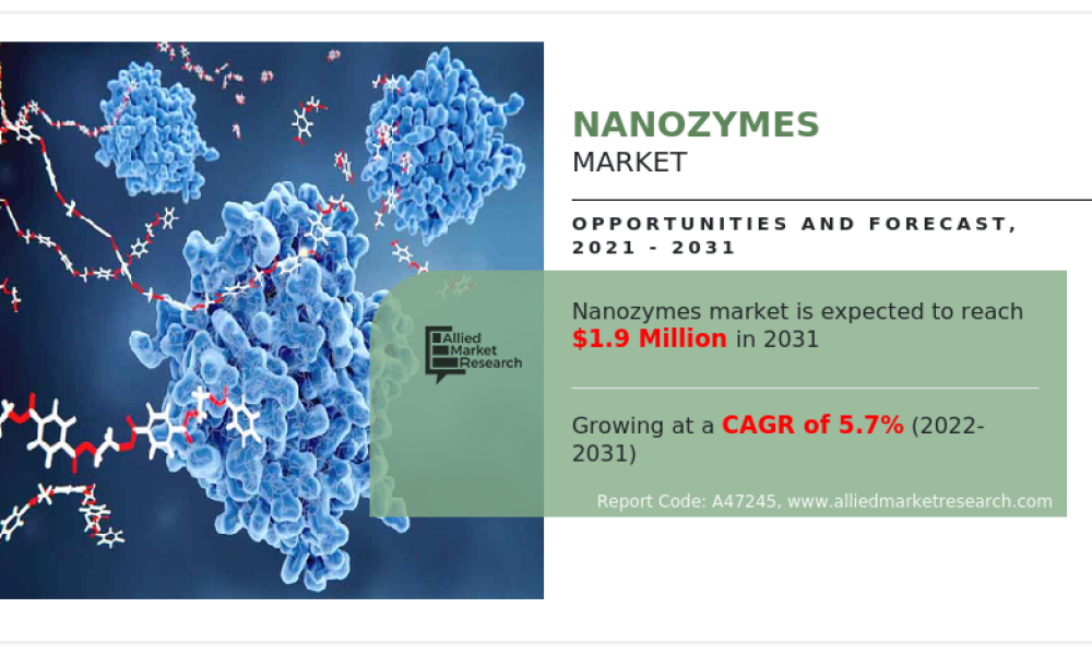 Nanozymes Market