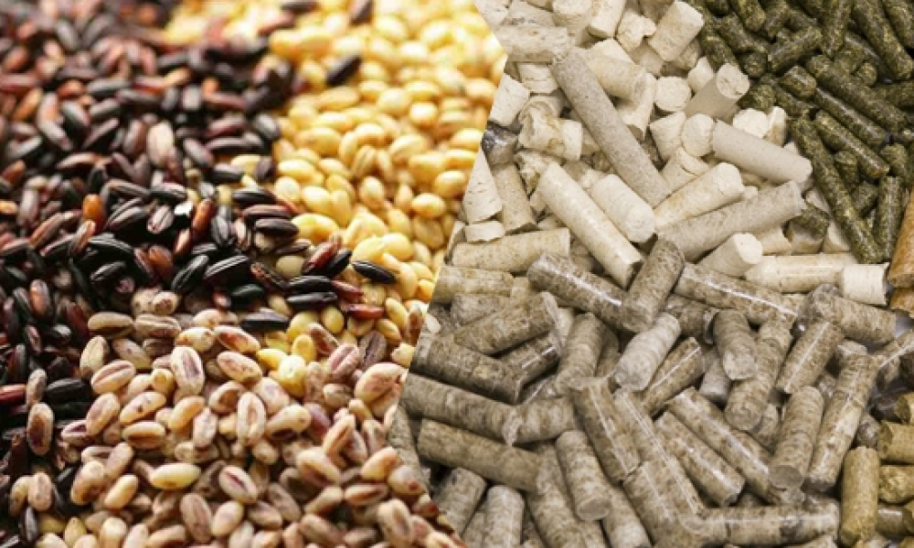 Natural Animal Feed Preservative Market