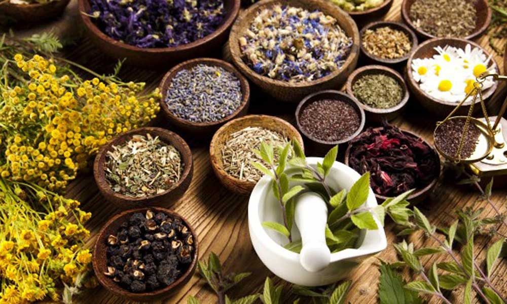 Natural Medicine Market
