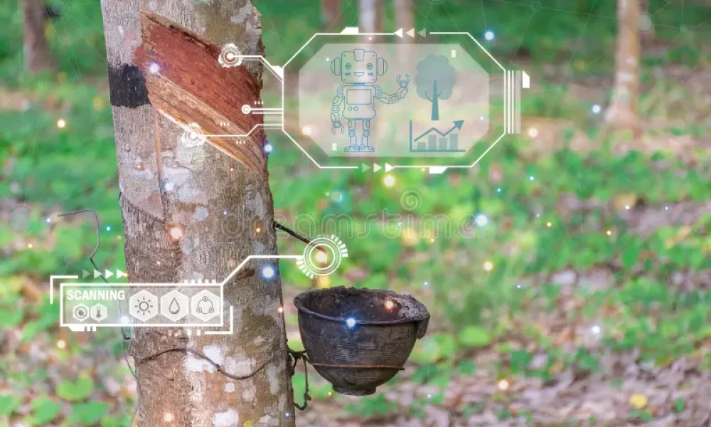 Natural Rubber market