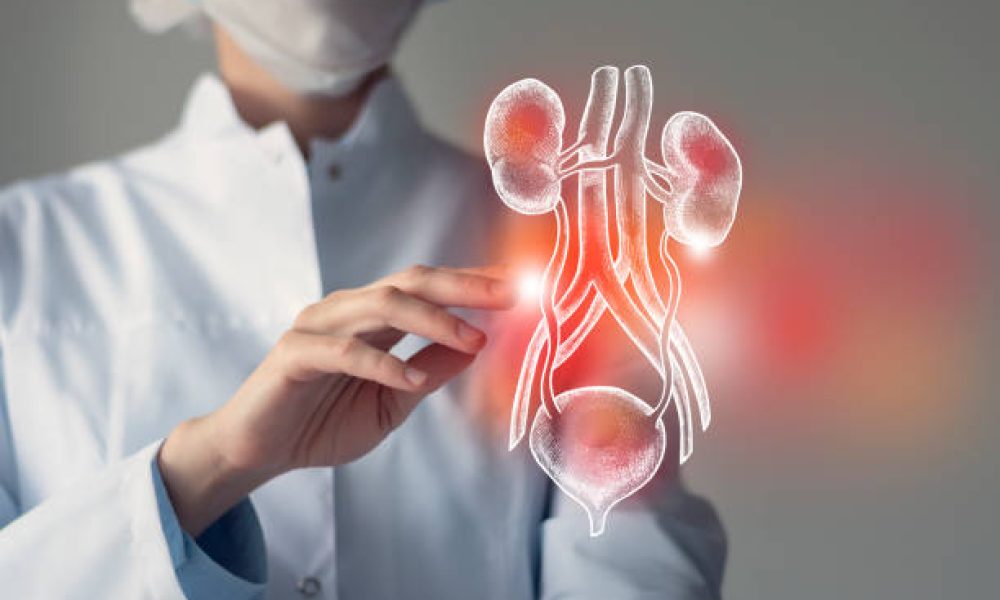 Female doctor touches virtual Bladder and Kidneys in hand. Blurred photo, handrawn human organ, highlighted red as symbol of disease. Healthcare hospital service concept stock photo