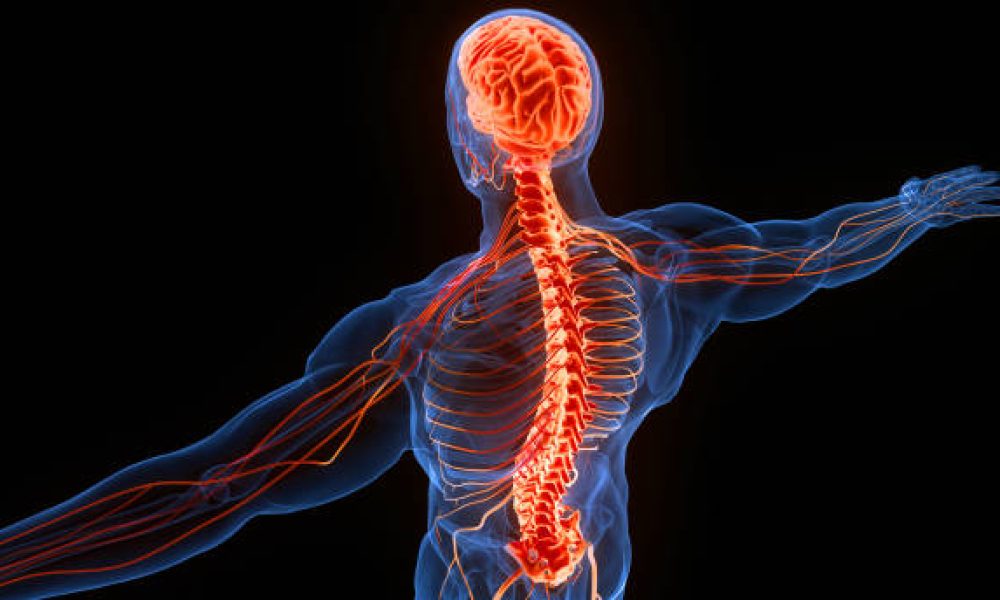 Neurological Disorder