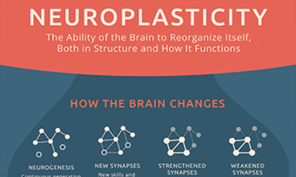 Neuroplasticity Market