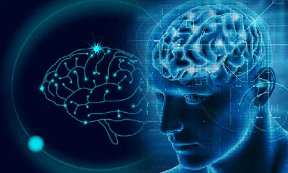 Neuroscience Market