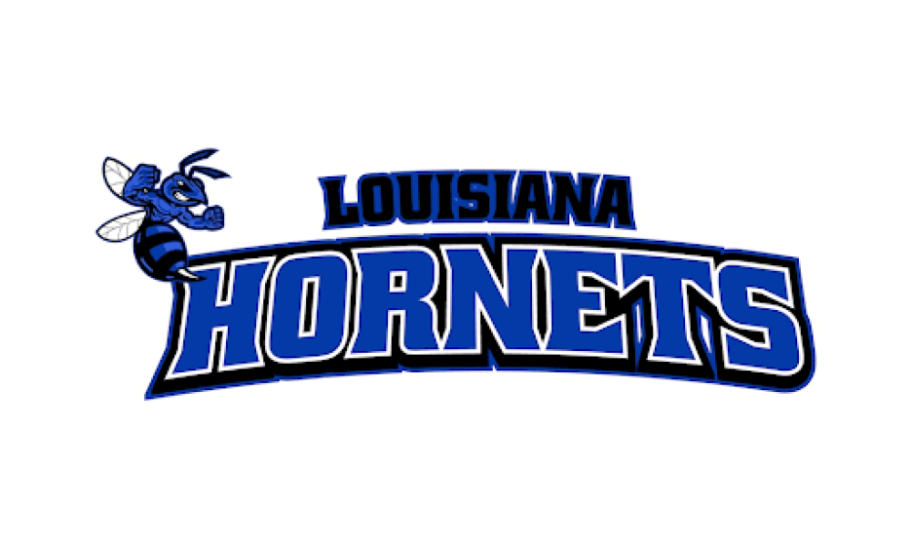 New 13U Louisiana Hornets Softball Team Ready to Dominate the Diamond 1