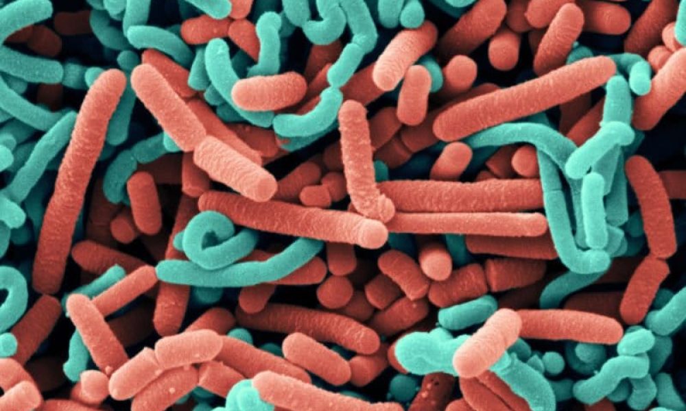 Next Generation Probiotics Market