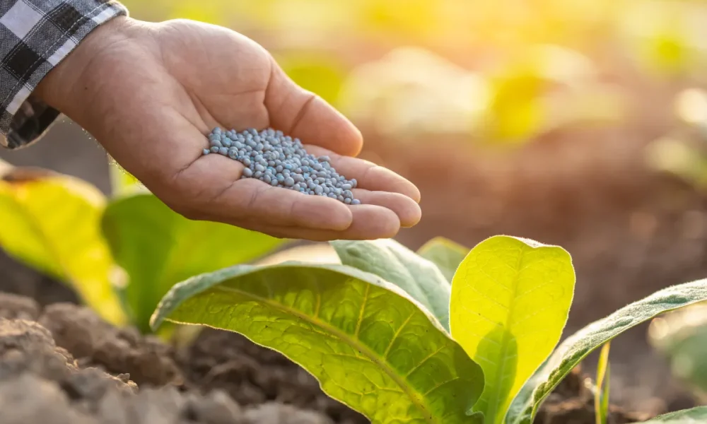 Nitrogen Fertilizer Market2