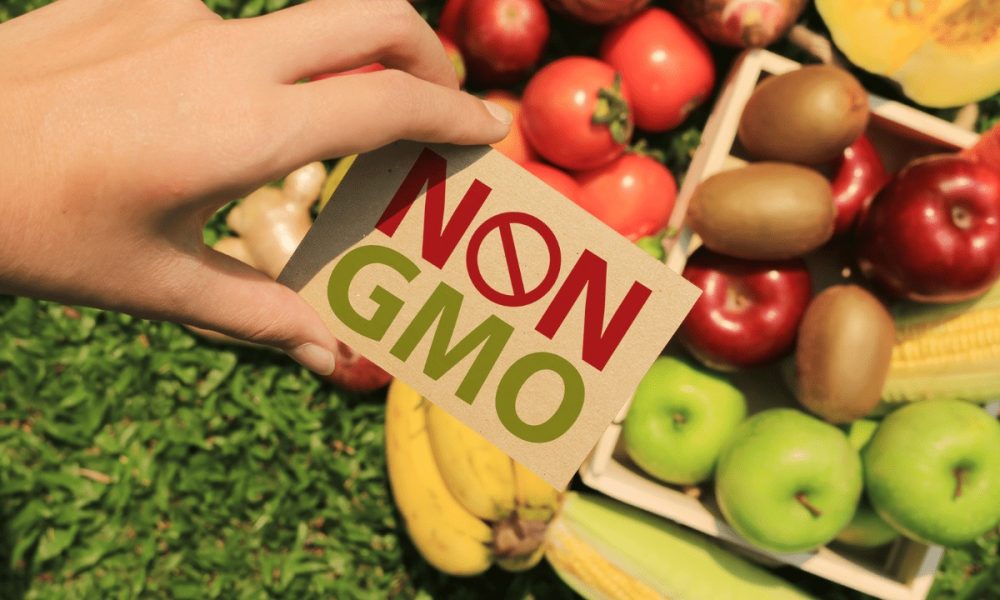 Non GMO Foods Market