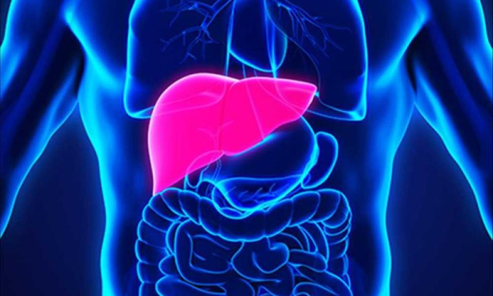 Non alcoholic Steatohepatitis Biomarkers Market