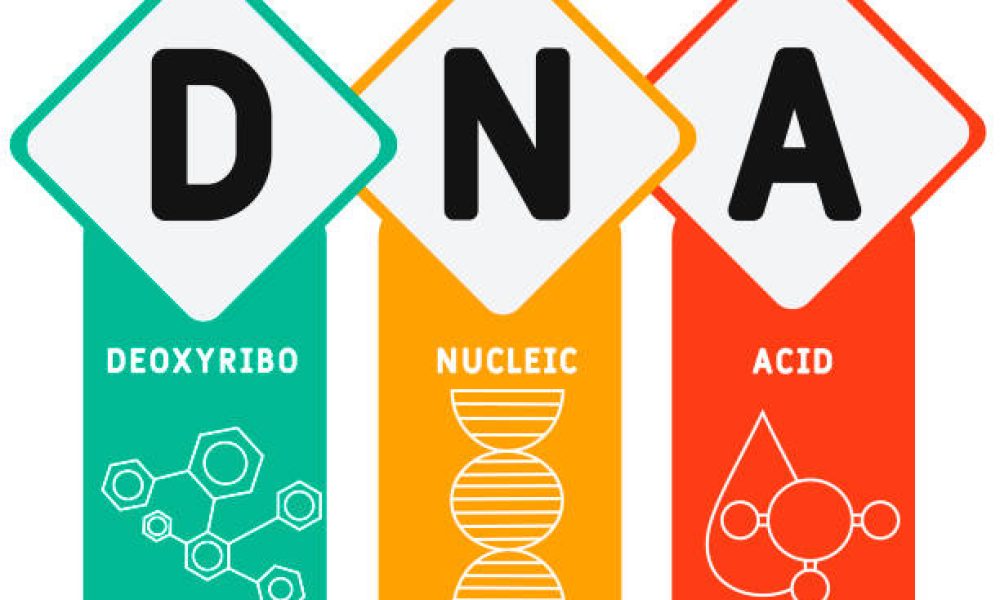 DNA - Deoxyribonucleic Acid acronym, medical concept background. vector illustration concept with keywords and icons. lettering illustration with icons for web banner, flyer, landing page