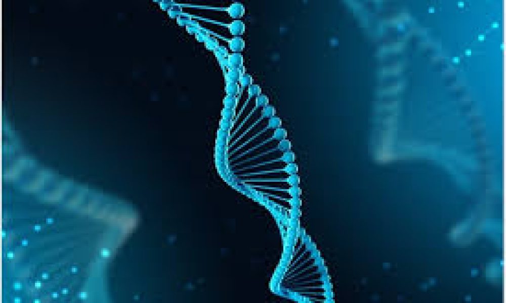 Nucleotide Sugar Synthesis Services market