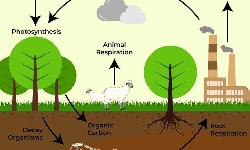 Nutrient Recycling market