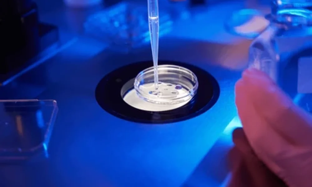 Oil for Embryo Culture market