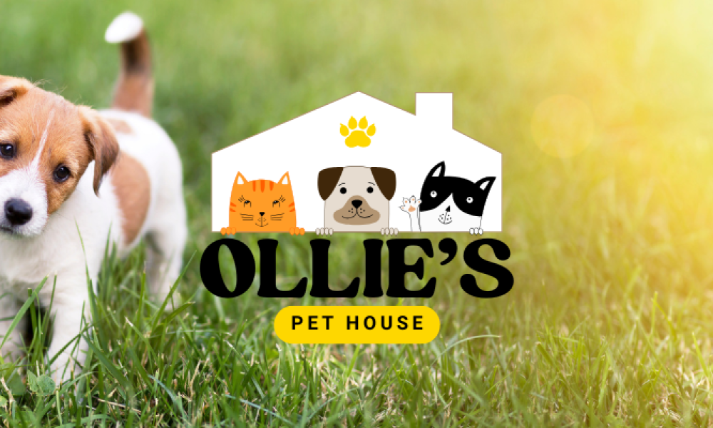 OlliesPetHouse.com_Press Release Featured Image