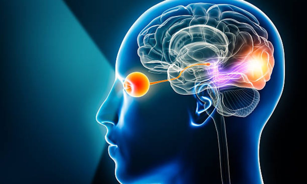 Optogenetics Market on Track for Massive Expansion by 2035, Forecasts ...