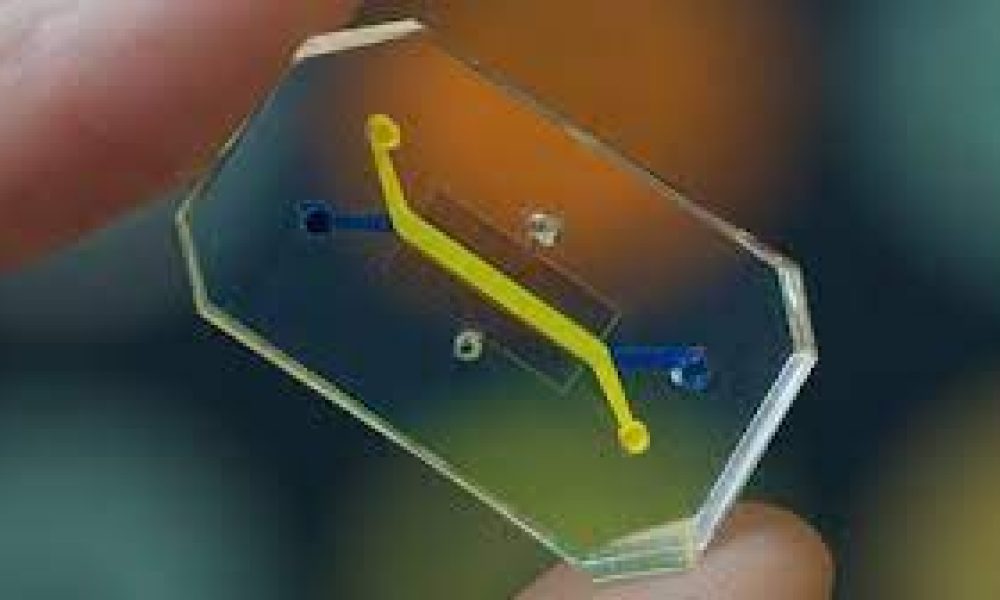 Organ-on-a-Chip Market