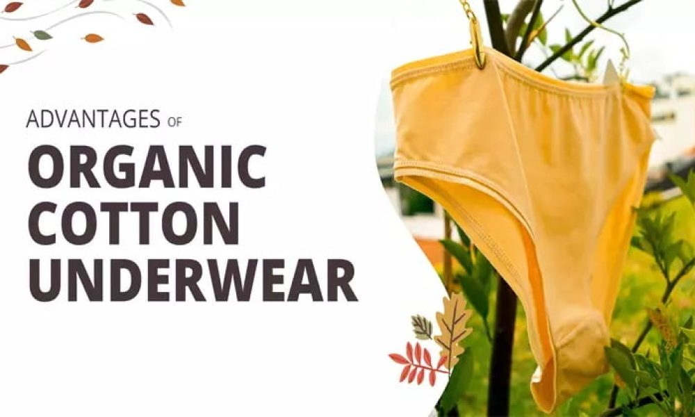 Organic Cotton Underwear Market Is Booming So Rapidly Aimer, Hanes