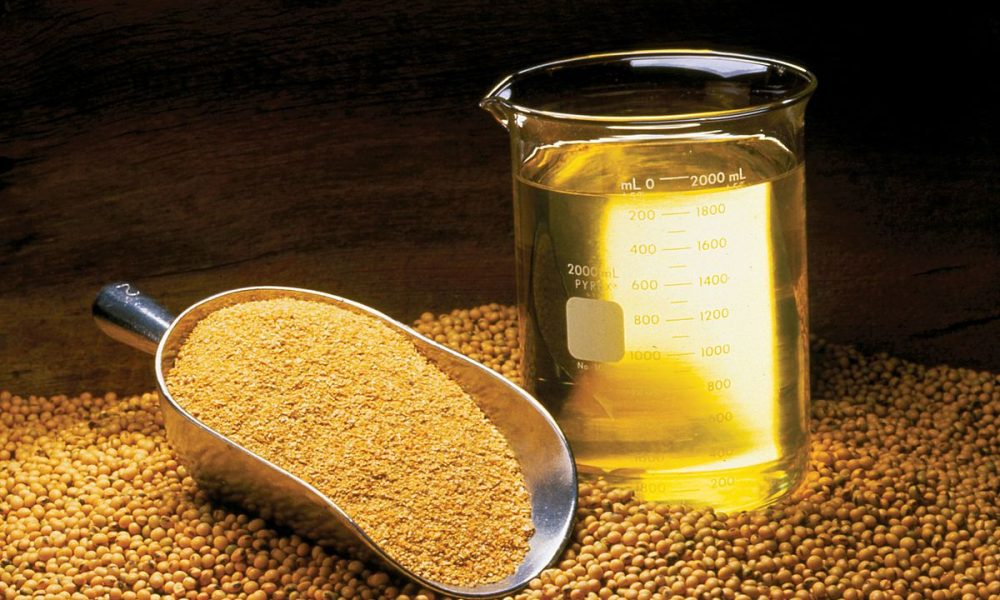 Organic Lecithin Market