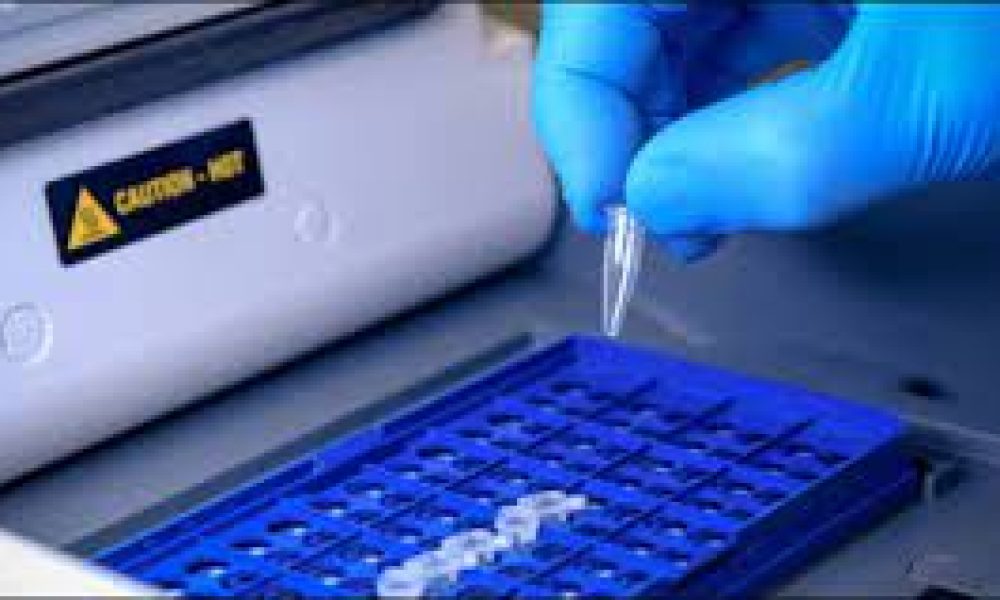 PCR Molecular Diagnostics