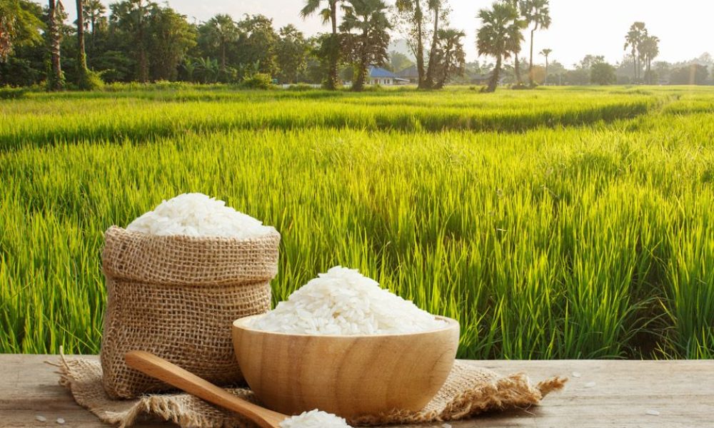 Packaged Basmati Rice Market Rewriting its Growth Cycle | Nature Foods ...
