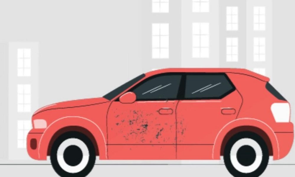 Paint Protection Film Market