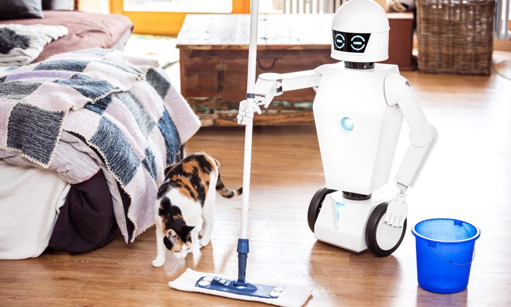 Personal Domestic Service Robotics Market