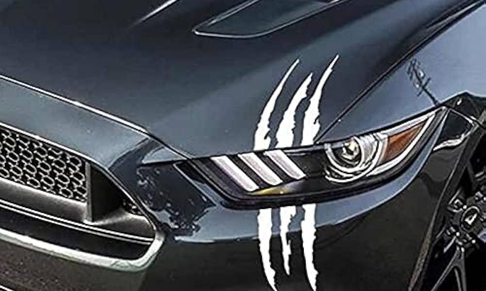 Personality Car Sticker Market Size