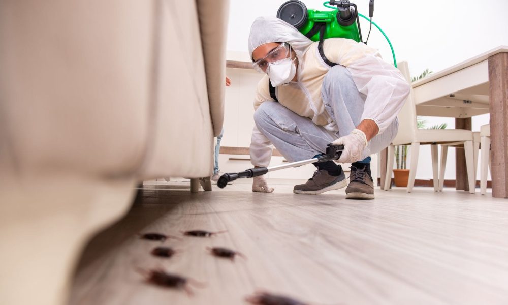 Pest Control Services Market