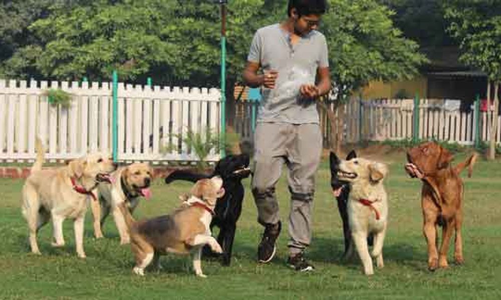 Pet Boarding Market