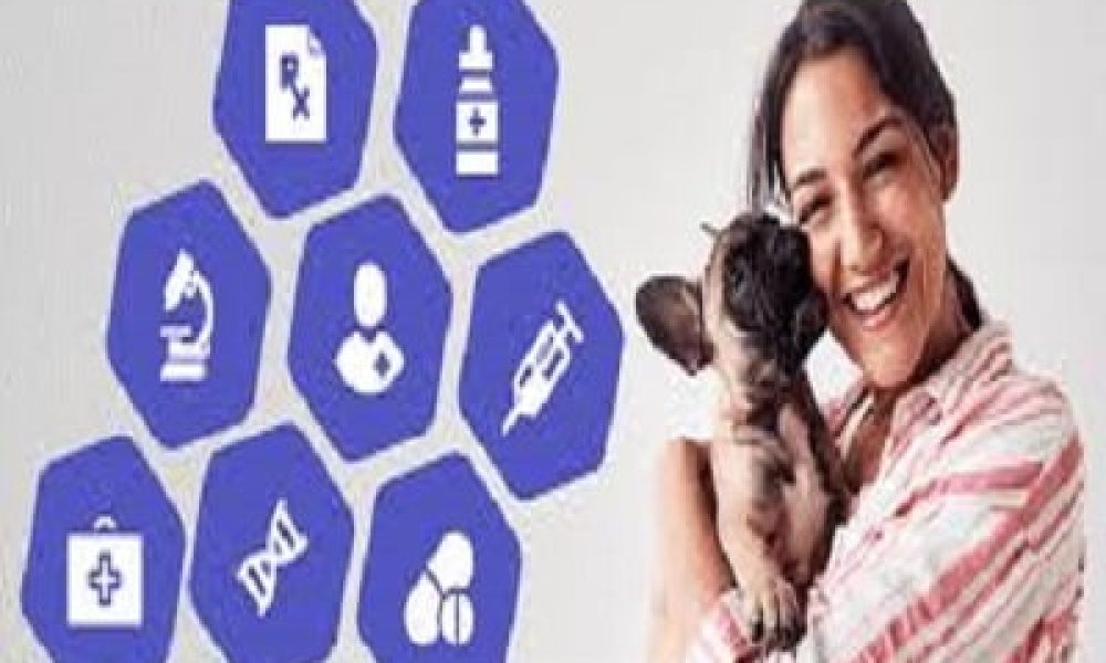 Pet Care E commerce Market