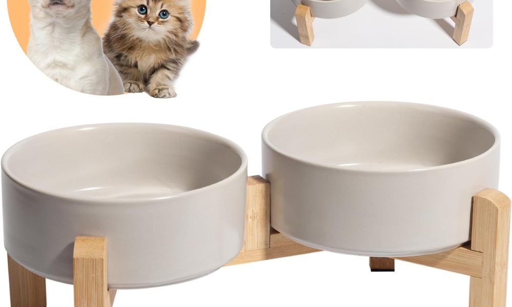 Pet Food Bowl Market
