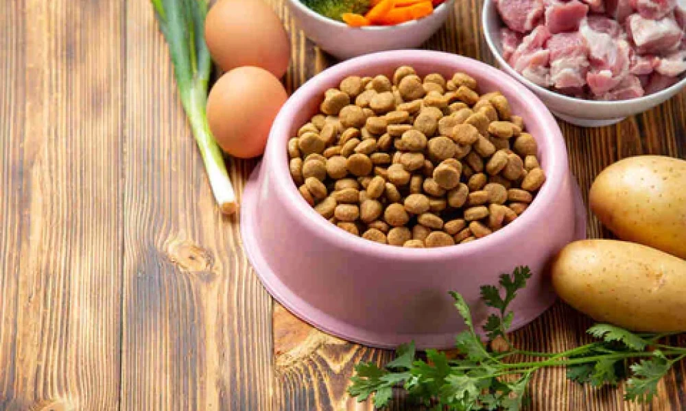 Pet Food Ingredients Market
