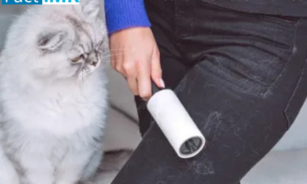 Pet Fur Remover Market
