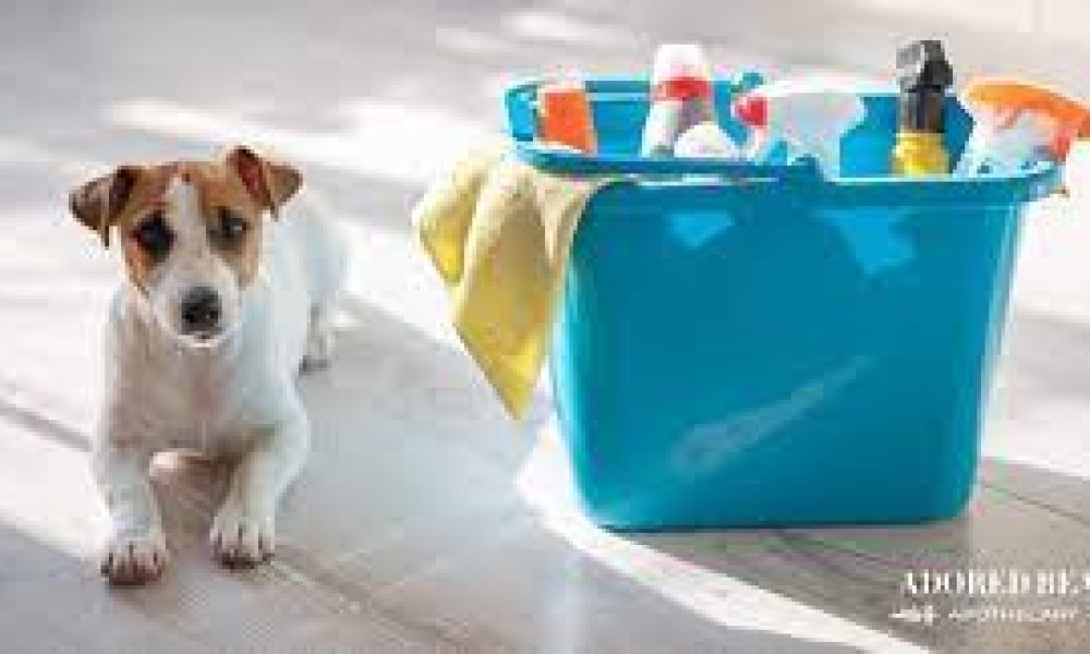 Pet Internal and External Cleaning Products