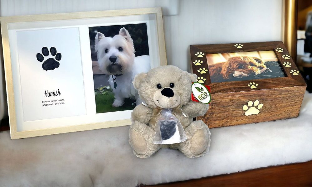 Pet Memorial Services