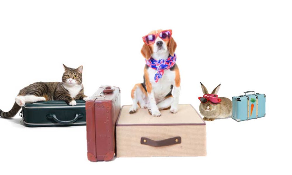 Pet Sitting Market