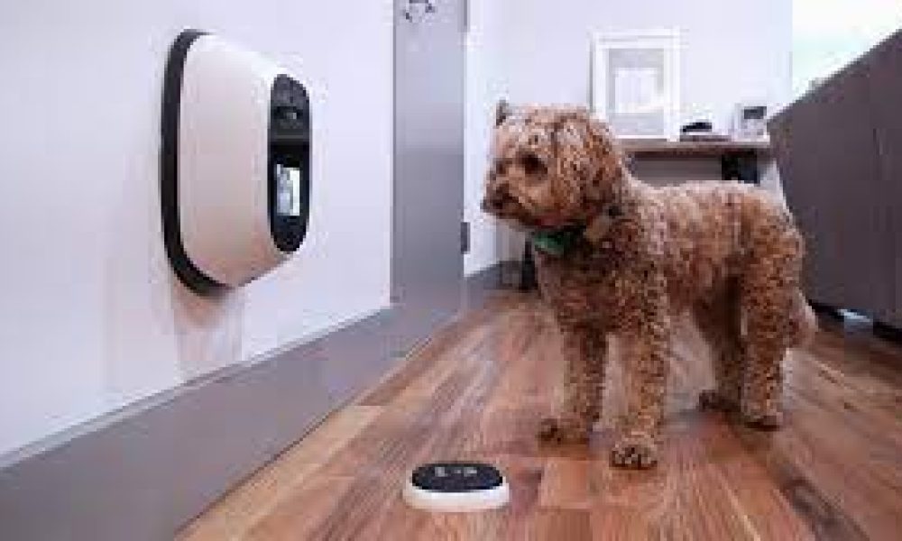 Pet Tech market