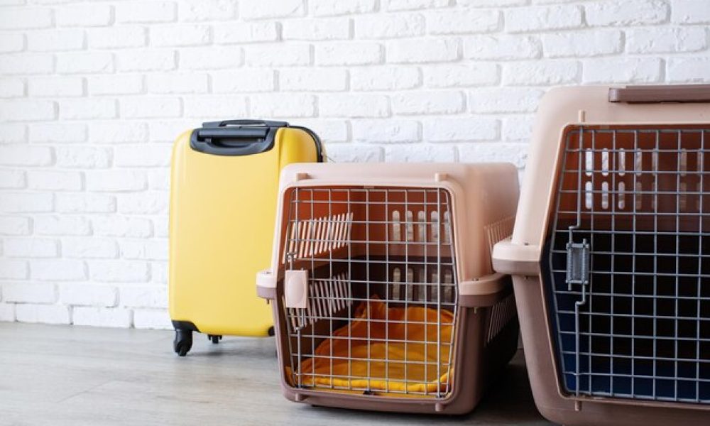Plastic Pet Carriers Market