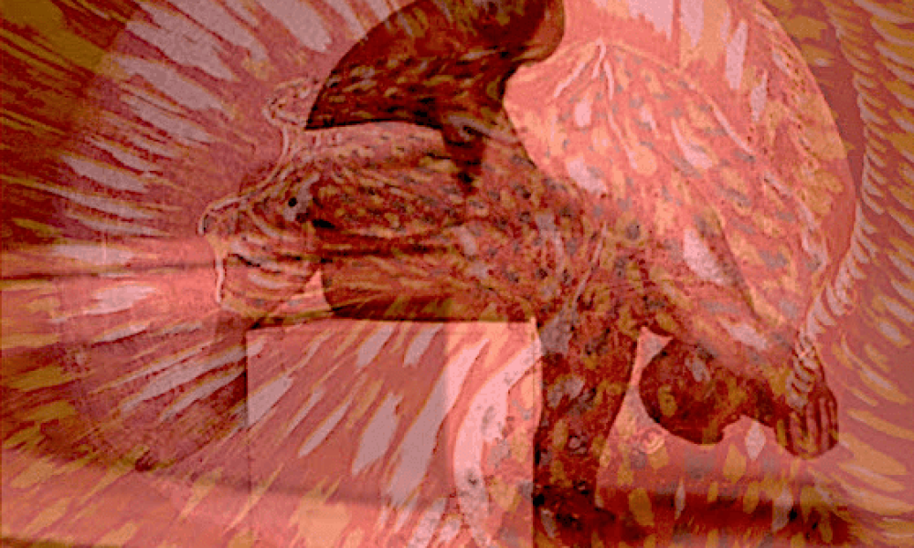 Cajun Dead et le Talkin`Stick at the Well a Jacob Acadian music song lyric project moves forward into an errie silence onto the Acadian Music scene