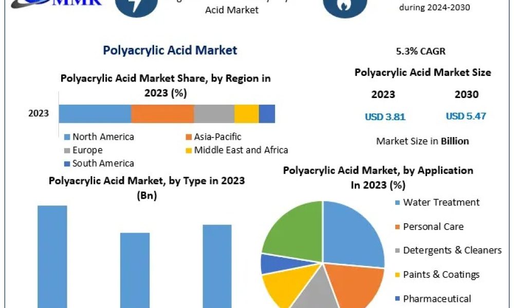 Polyacrylic Acid Market