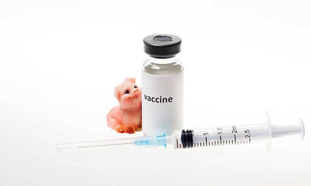 Porcine Epidemic Diarrhea Vaccines Market
