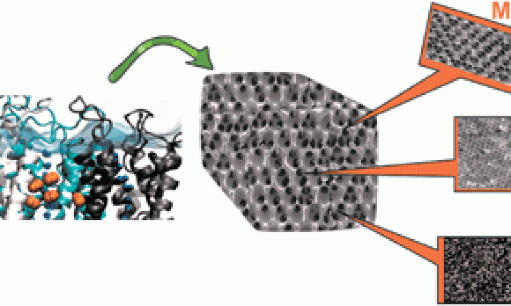 Porous Carbon