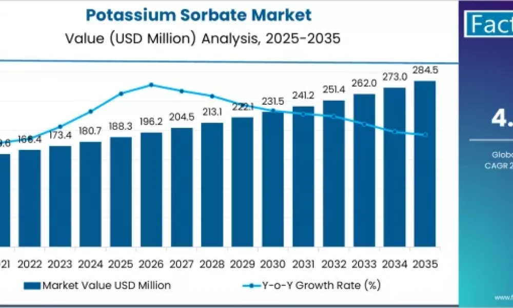 Potassium Sorbate Market